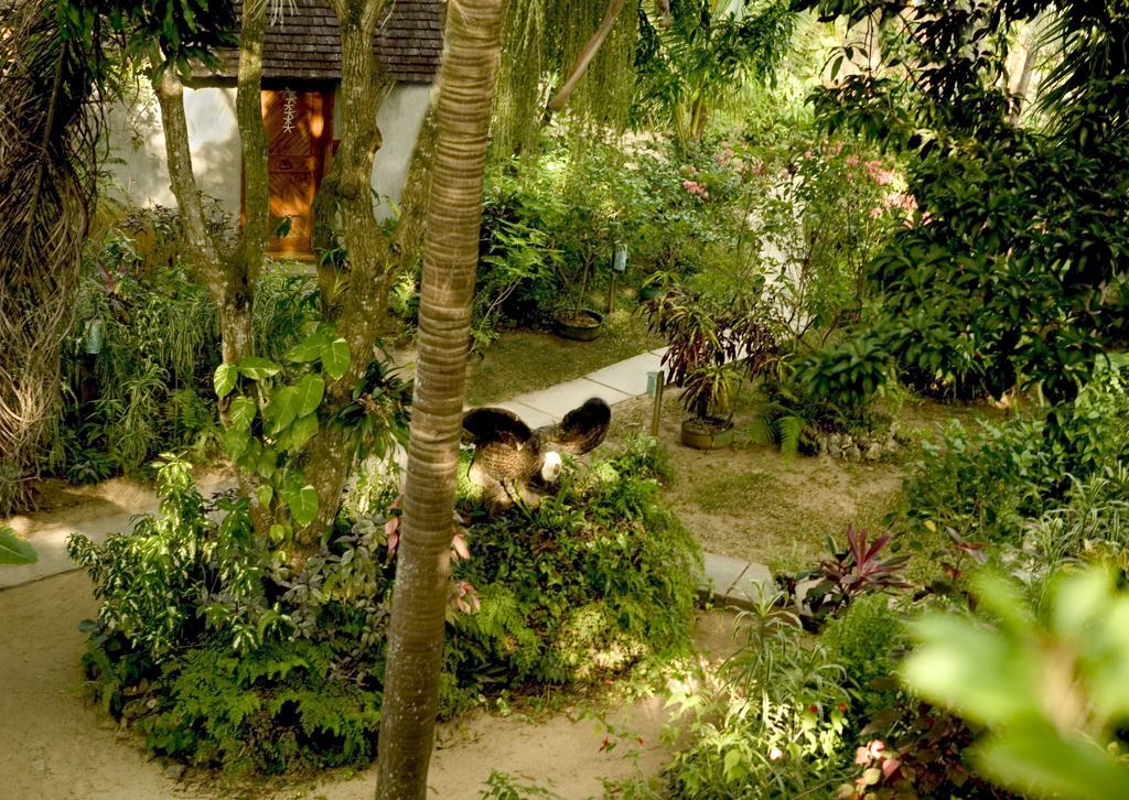 Whistling Bird Hotell Negril Eksteriør bilde