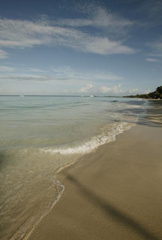 Whistling Bird Hotell Negril Eksteriør bilde